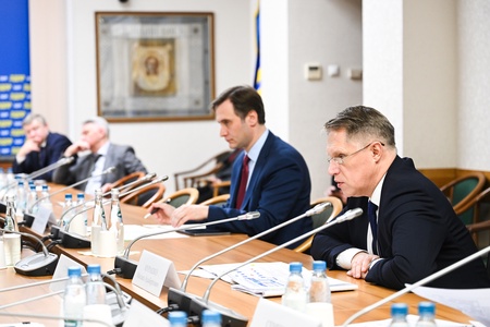 Встреча фракции ЛДПР с министром здравоохранения РФ Михаилом Мурашко