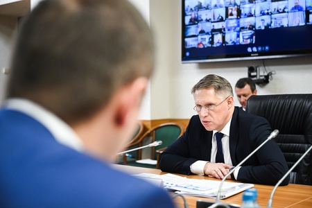 Встреча фракции ЛДПР с министром здравоохранения РФ Михаилом Мурашко