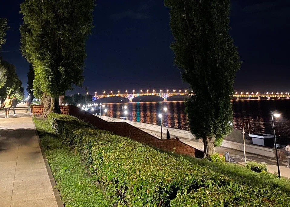 В Саратовской области снизилось число наркопреступлений