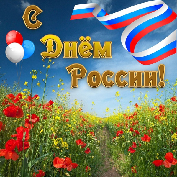 Актив Ульяновского регионального отделения ЛДПР поздравляет с Днём России