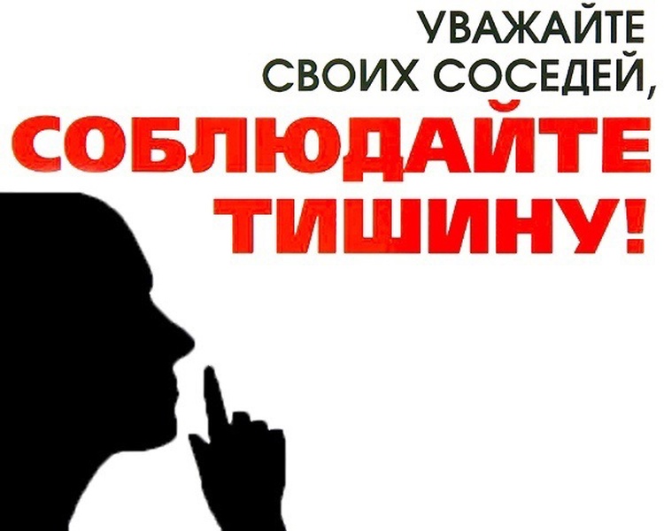 ЛДПР Ростовской области выступила за введение единого времени запрета на шум по ночам