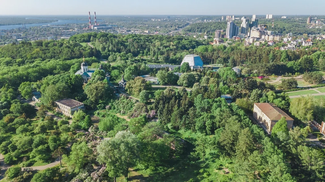 ЛДПР предложила запретить изменять границы участков городских лесов в Алтайском  крае