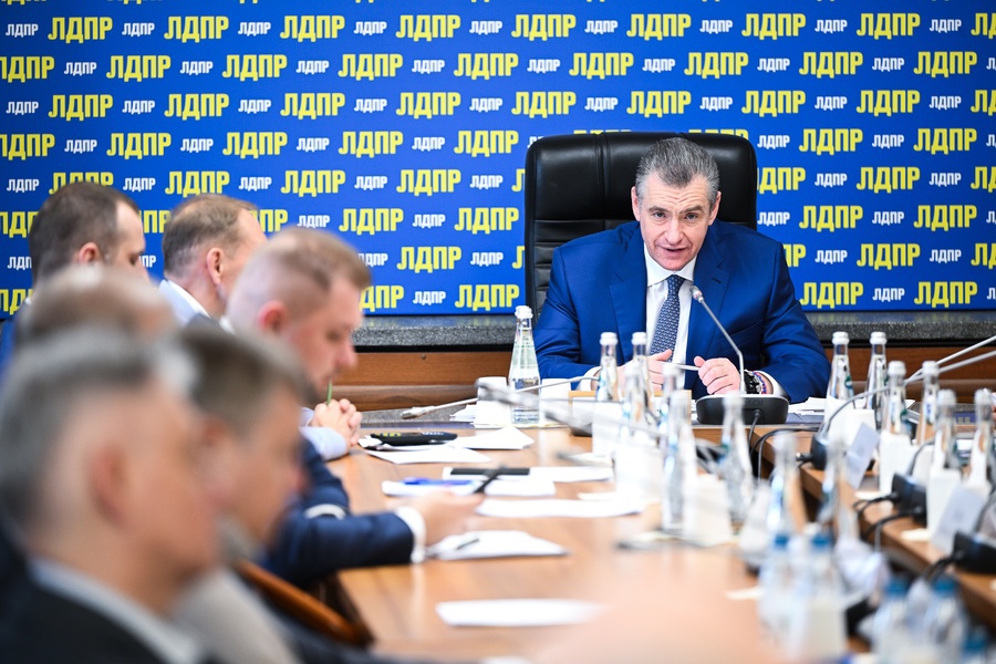 ЛДПР наградит сибиряков, сбивавших камнями дроны ВСУ
