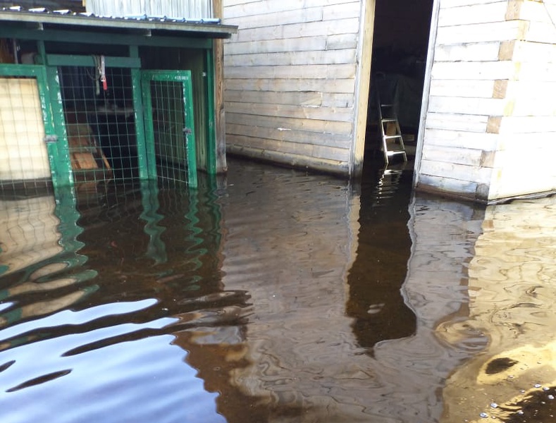 Вода в амурском