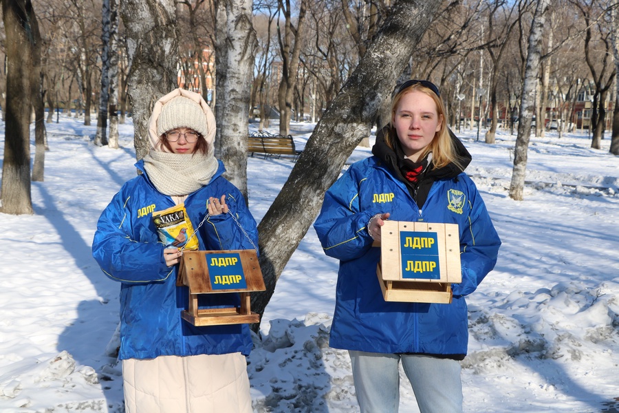 Поможем зимующим птицам вместе!