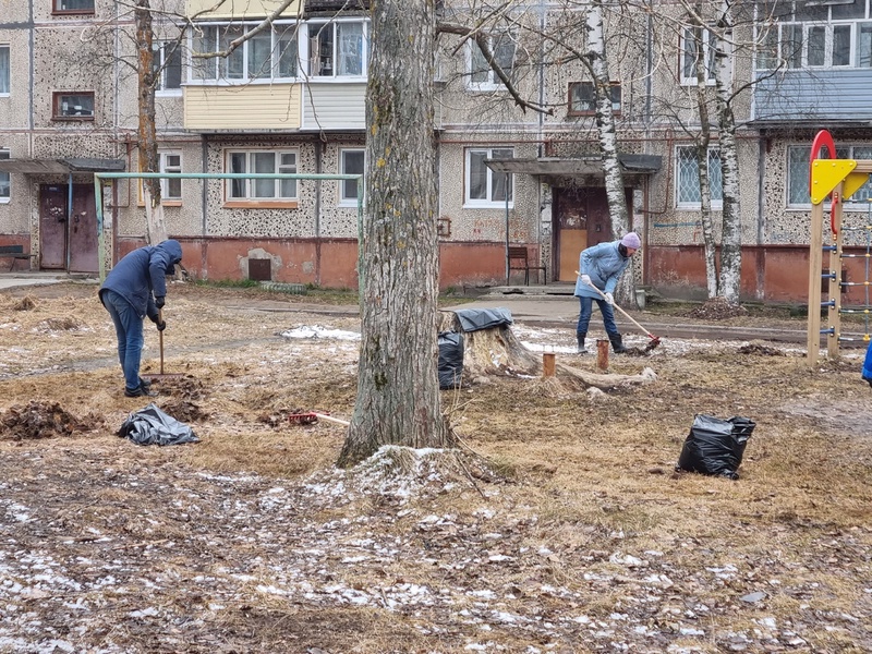 Активисты Новодвинского отделения ЛДПР провели серию субботников