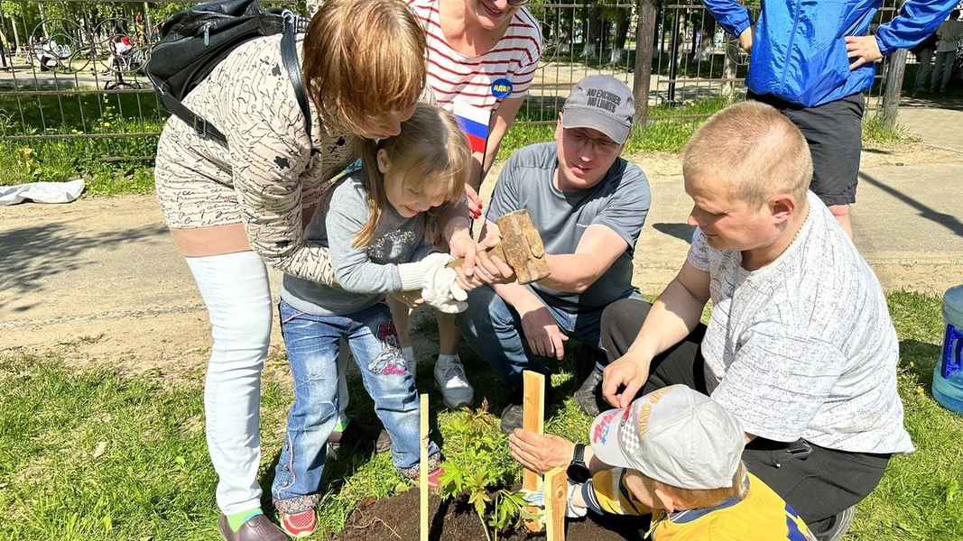 Депутаты от ЛДПР высадили саженцы калины в Новодвинске