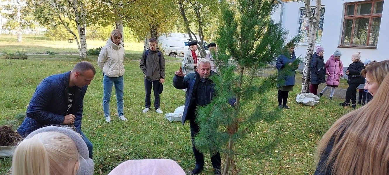 В Северодвинске и Вельске появились новые кедровые аллеи