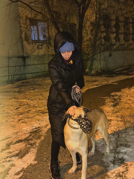 Евгений Бабушкин: «Сколько ещё трагических ситуаций должно случиться по вине хозяев животных?»