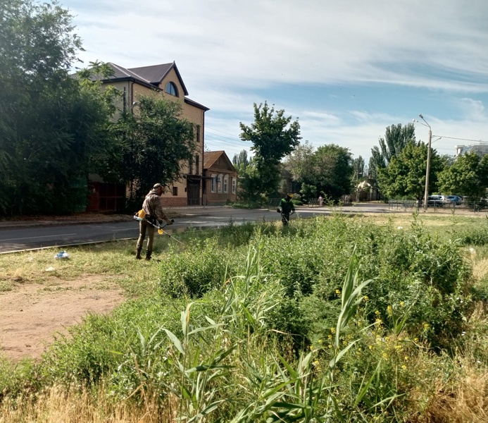 После обращения партийца Данилы Слуцкого на ул. Марфинской скосили траву