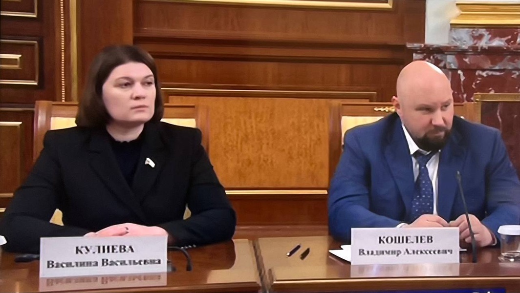 Василина Кулиева: Благодарю Правительство России за поддержку инициативы ЛДПР