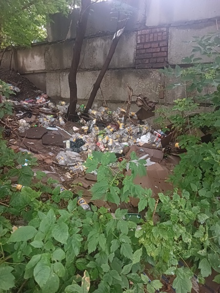 Башкирские партийцы приняли участие в рейдах «ЛДПР за экологию и безопасность!»