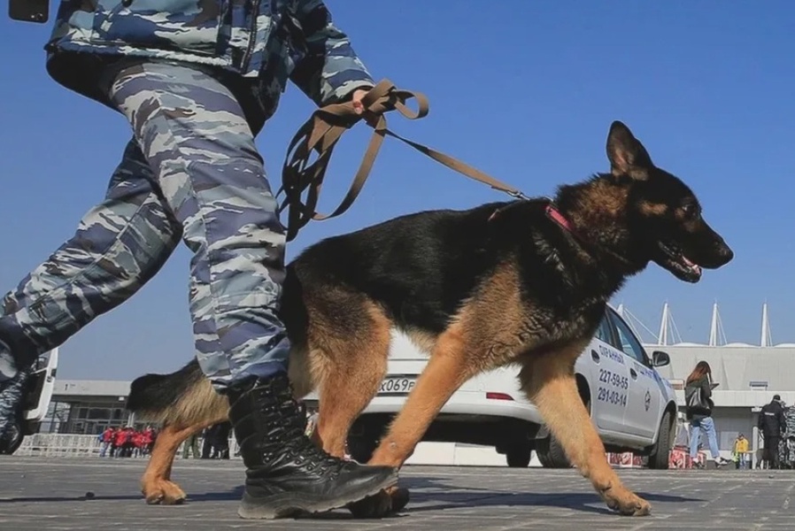 ЛДПР информирует: в Белгородской области продлен «желтый» уровень террористической опасности