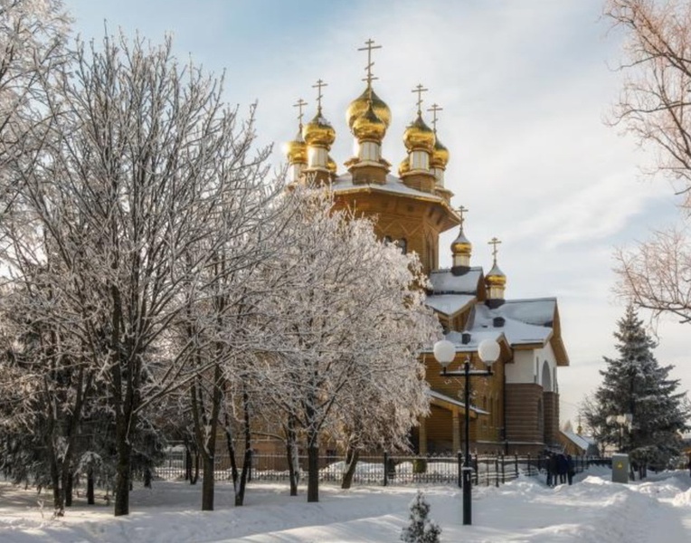 Депутат Белгородской областной Думы от ЛДПР Ольга Сотникова: С Рождеством Христовым