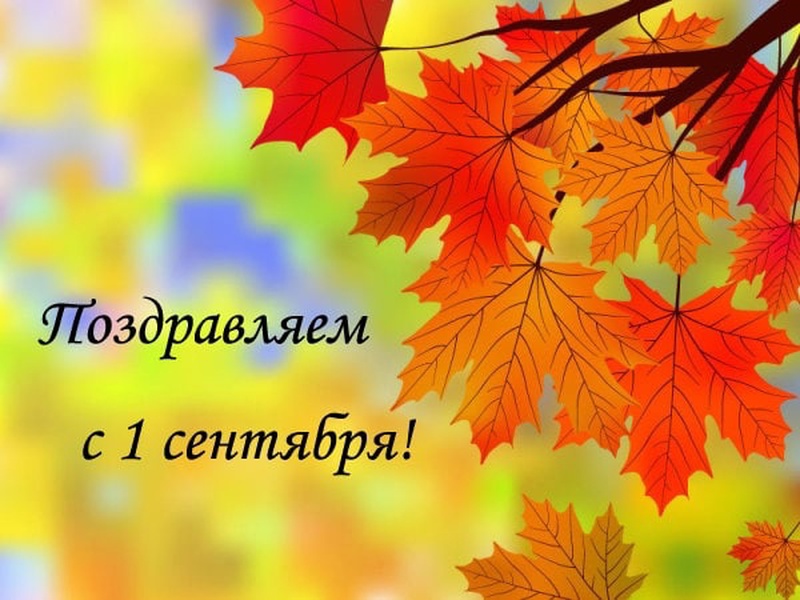 День листьев. Открытка с осенними листьями. Осень день знаний. Осень день учителя. Осенние листики с пожеланиями.