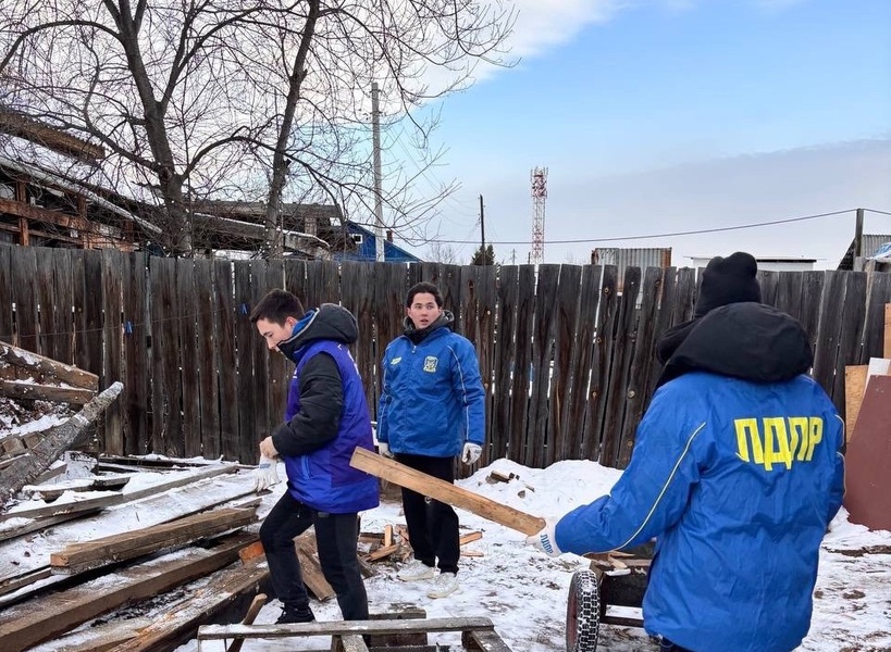 Молодежь ЛДПР помогла матери бойца СВО заготовить дрова на зиму