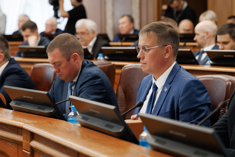 ЛДПР против отсрочки закона об отвественности за электросамокаты
