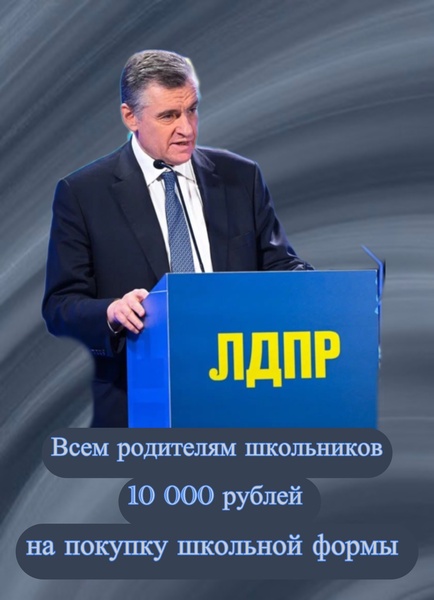 ЛДПР предлагает сделать ежегодную выплату для родителей, чтобы они могли подготовить детей к школе