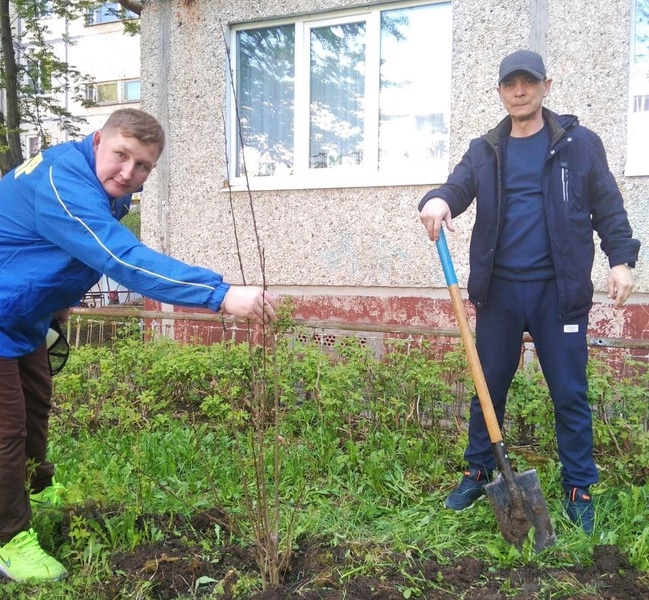 Активисты ЛДПР помогли жителям Новочебоксарска в озеленении двора