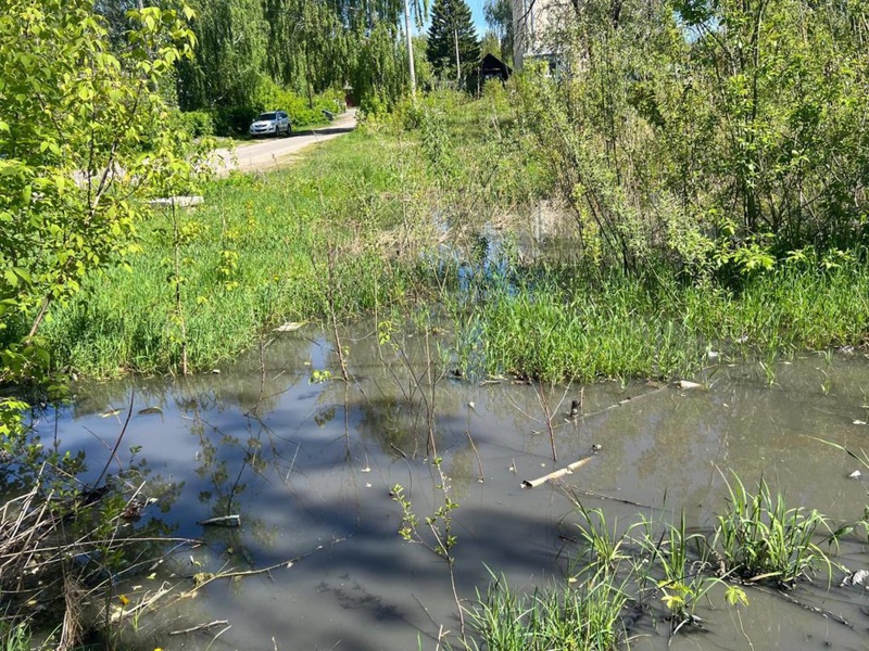 В Шумерле в течение нескольких суток шел сброс нечистот на почву