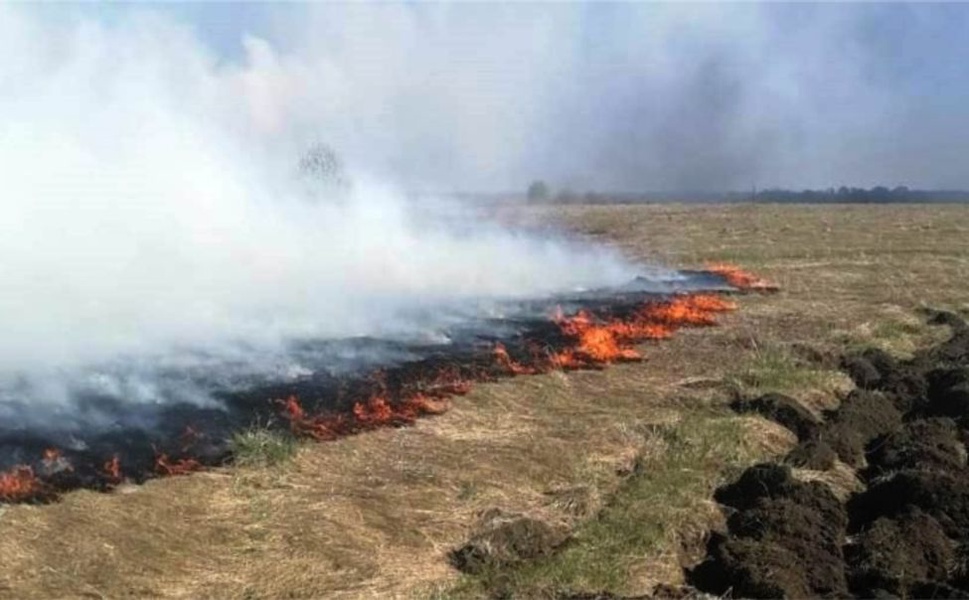 В Чувашии огонь уничтожил около 5 га сухой травы