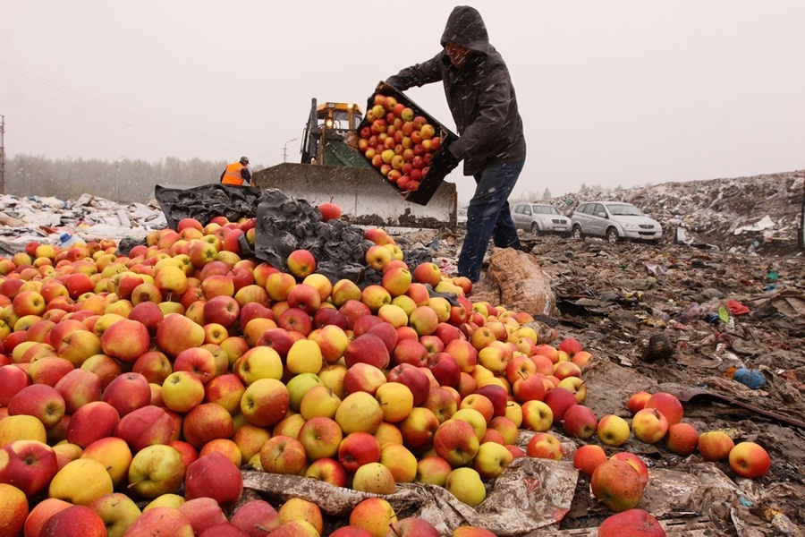 ЛДПР предложила запретить уничтожение конфискованных продуктов