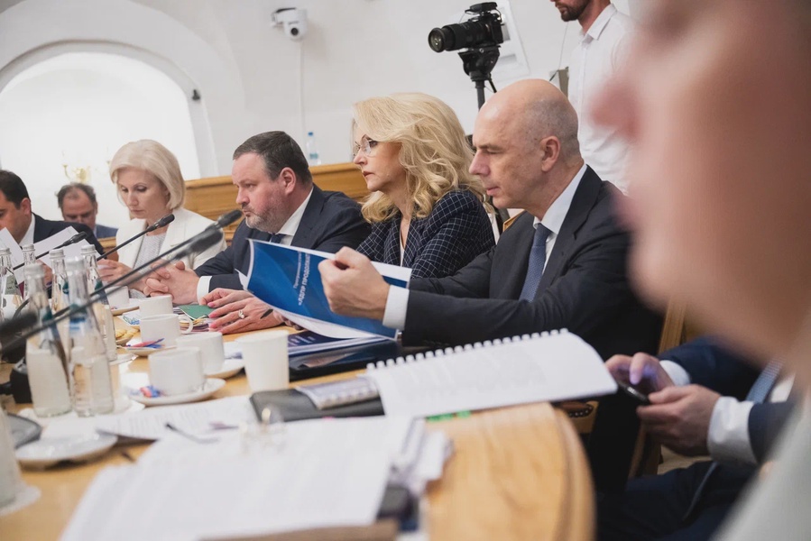 Фракция ЛДПР в Госдуме встретилась с Татьяной Голиковой