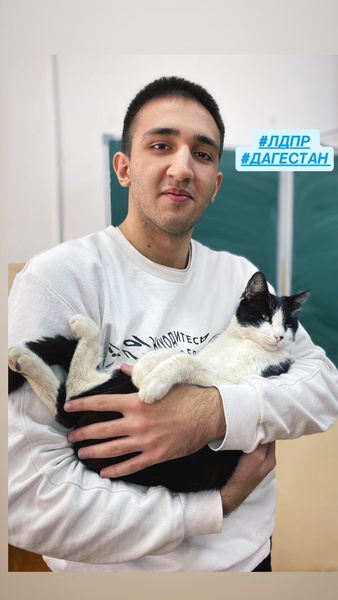 Всемирный день кошек с ЛДПР