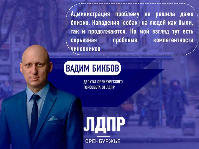 Вопрос с бездомными животными в Оренбурге вновь повис в воздухе