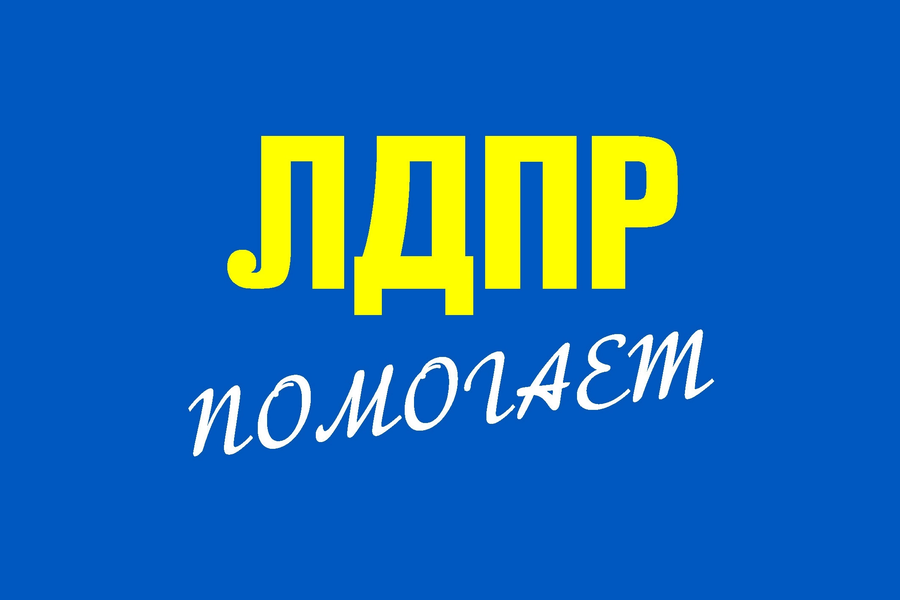 Профессиональную психологическую помощь можно получить в ЛДПР