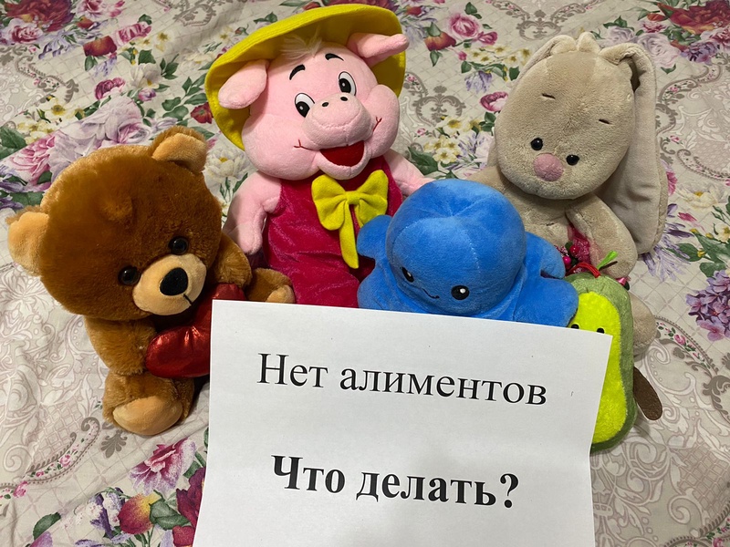Создание алиментного фонда усилит защищенность детей, считают партийцы ЕАО