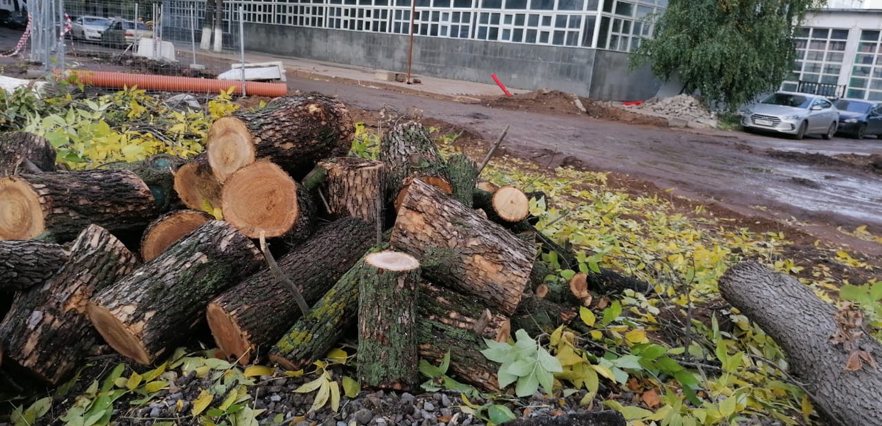 ЛДПР предложила запретить изменять границы участков городских лесов в ЕАО