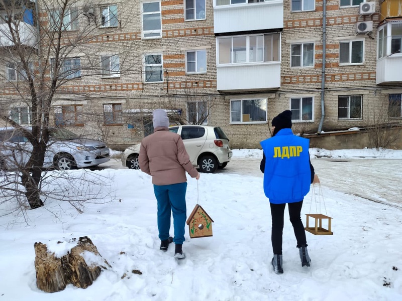 Молодёжь ЛДПР спасает популяцию дальневосточных птиц