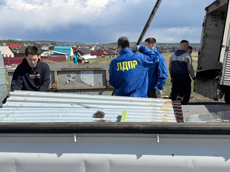 Молодежь ЛДПР помогла пенсионерке с уборкой двора