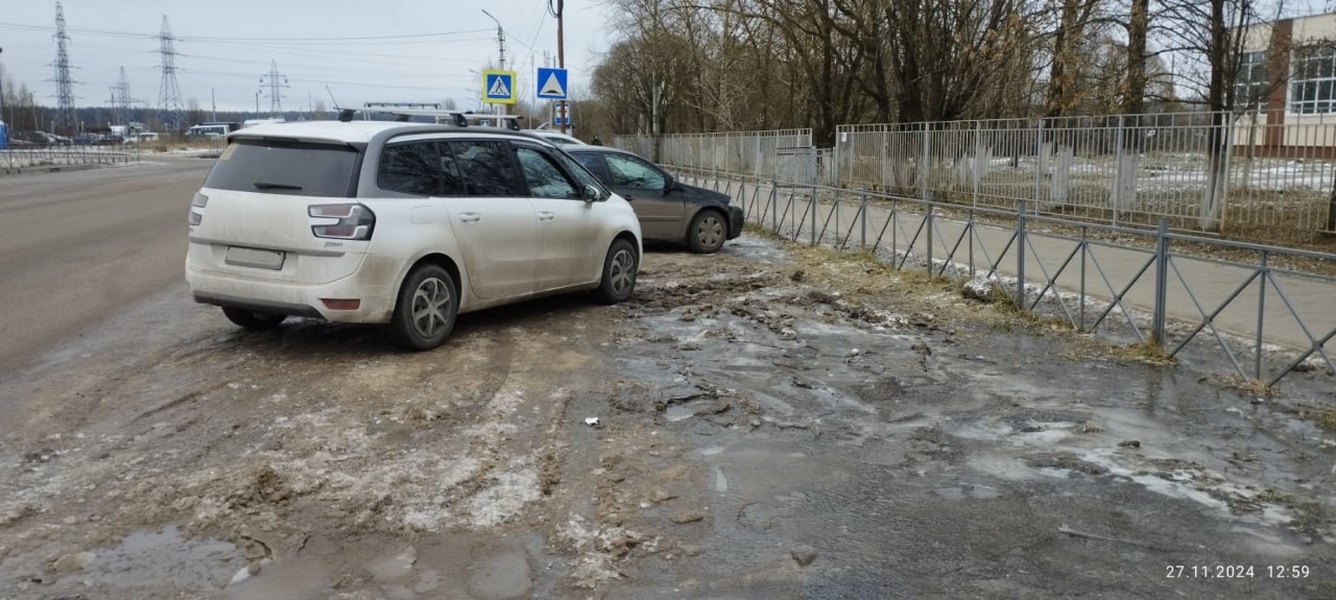 Активист ЛДПР борется за благоустройство Кохмы