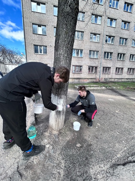 Молодежь ЛДПР заботится об улицах родного города