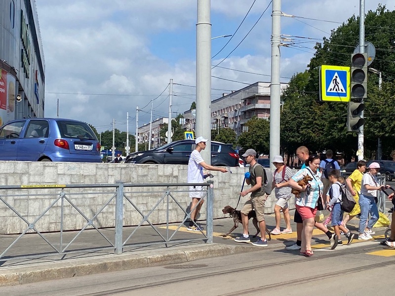 Калининградские партийцы начали агитационную кампанию за кандидата в губернаторы от ЛДПР