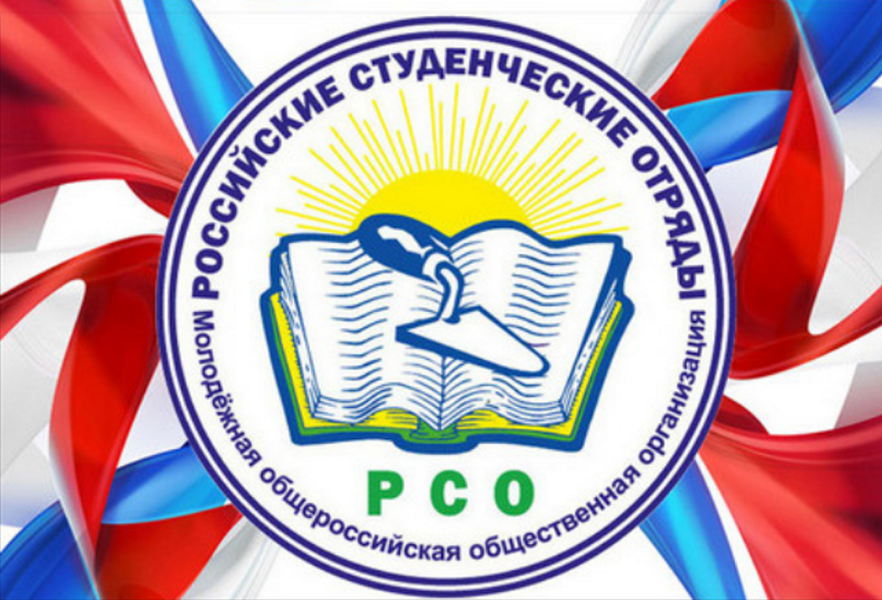 В День студенческих отрядов участников движения поздравил руководитель КРО ЛДПР