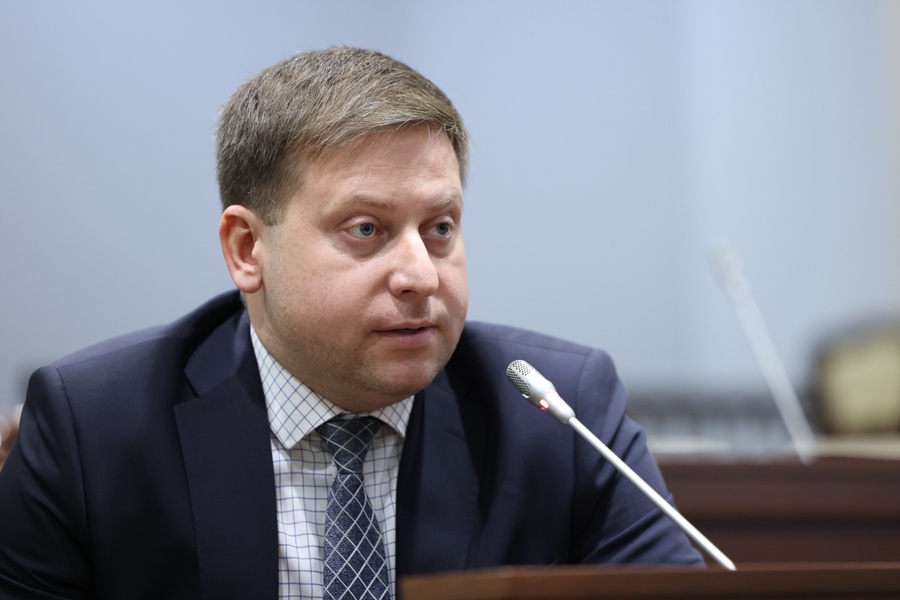 Евгений Мишин о запрете АдГ в Германии: Это демократия по-европейски