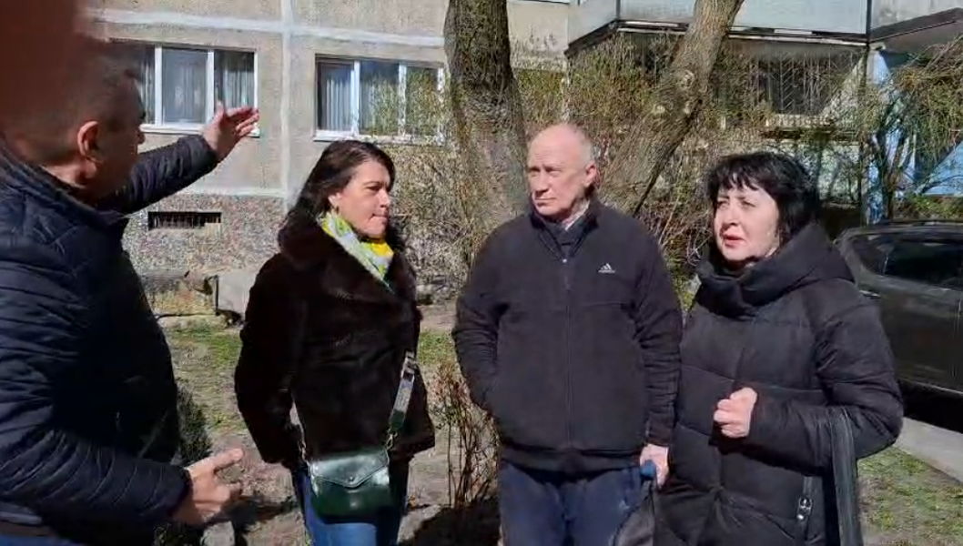 ЛДПР помогла отстоять раскидистую иву во дворе жилого дома в Калининграде