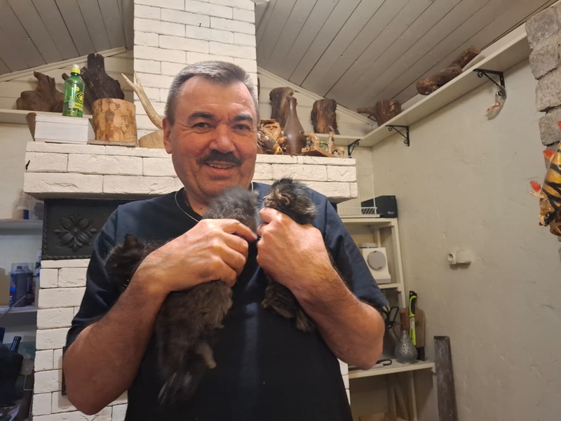 Координатор ЛДПР в Калининграде спас от голодной смерти троих котят 