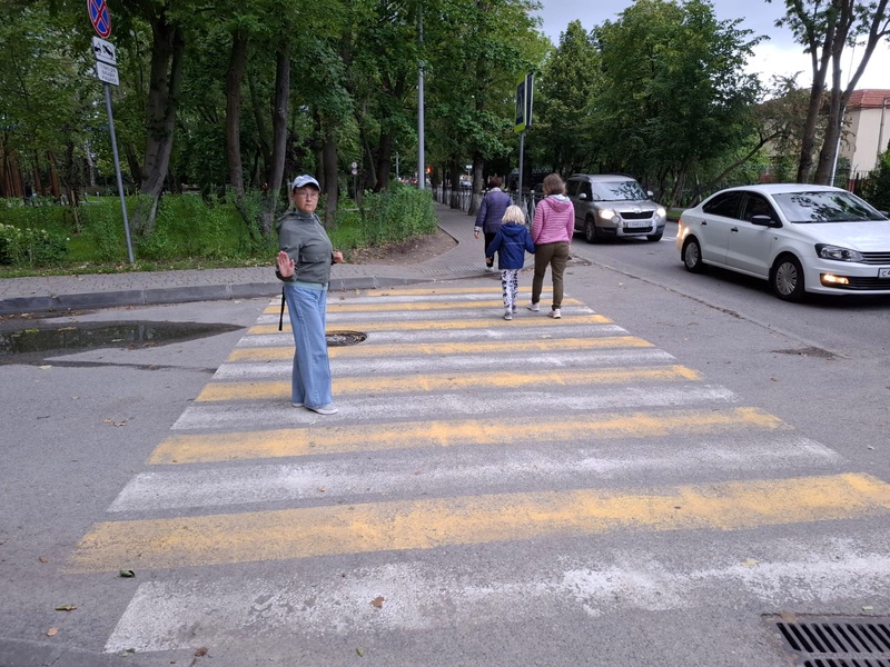Приподнятые пешеходные переходы появятся у школ в Зеленоградске благодаря ЛДПР