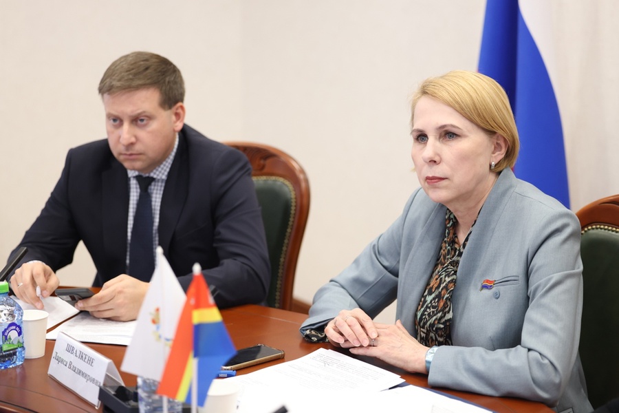 Депутат ЛДПР обозначил методы борьбы с киберпреступностью