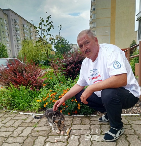 Во Всемирный день кошек калининградские партийцы накормили бездомных животных