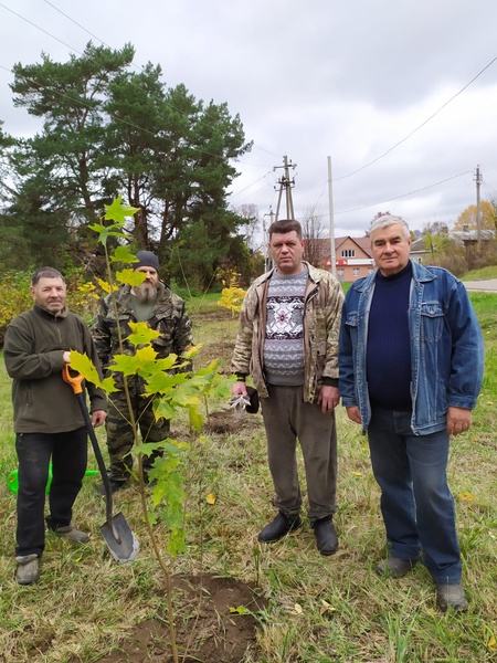 Аллея имени Владимира Вольфовича Жириновского пополняется новыми деревьями!