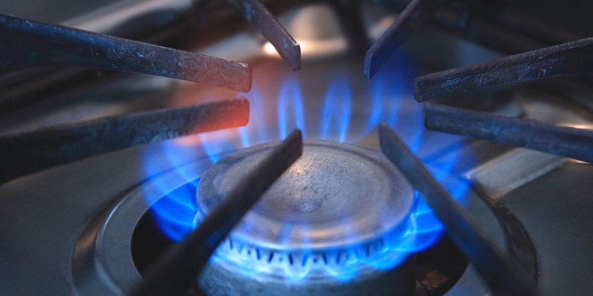 В Госдуме назвали безупречным решение по экспорту газа за рубли