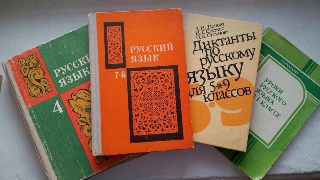 Требование ЛДПР ввести экзамен по русскому языку для детей мигрантов поддержало Минпросвещения