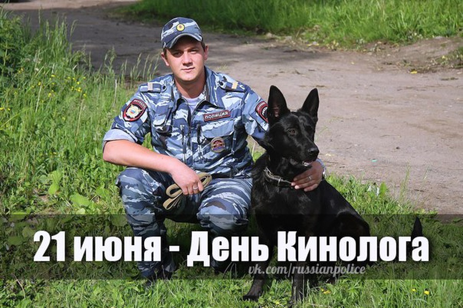 С днем кинолога поздравления в картинках