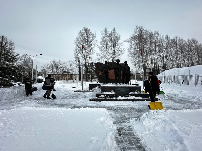 Снежный десант с ЛДПР 