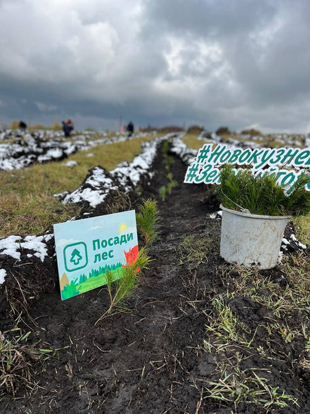  ЛДПР в КуZбассе присоединилась к экологической акции «Зеленая Россия»